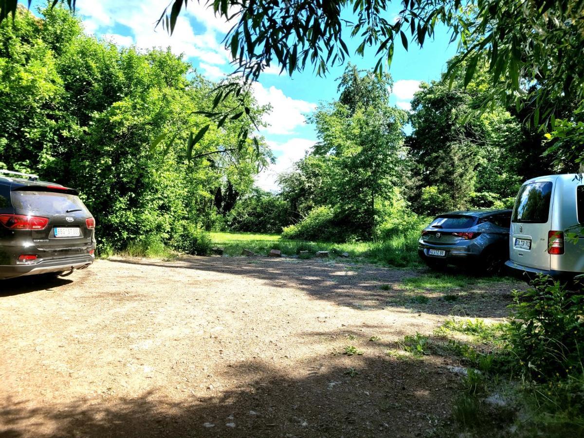 Ferienhaus Dr. Mueller Meißen Exteriör bild
