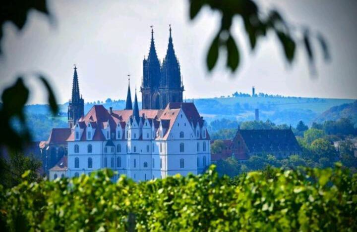 Ferienhaus Dr. Mueller Meißen Exteriör bild