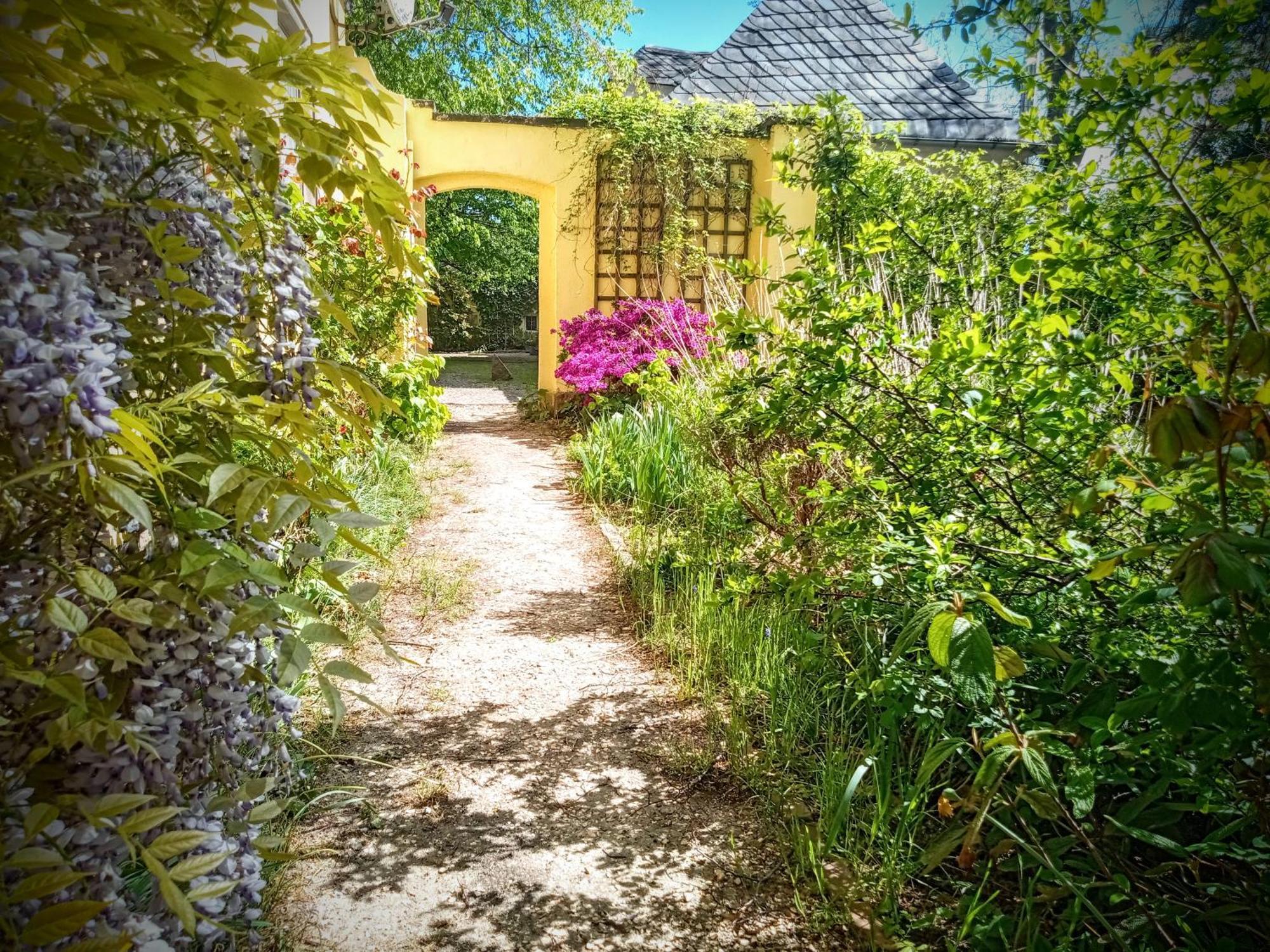Ferienhaus Dr. Mueller Meißen Exteriör bild