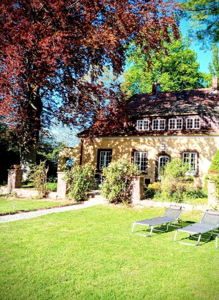 Ferienhaus Dr. Mueller Meißen Exteriör bild